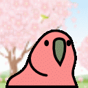 Hanami Parrot