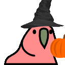 Pumpkin Parrot